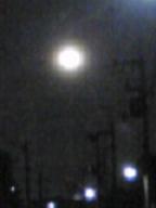 a0119777_73344100.jpg