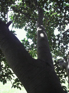 f0016981_2313634.jpg