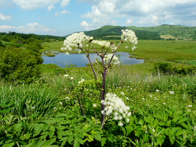 e0145782_18125646.jpg