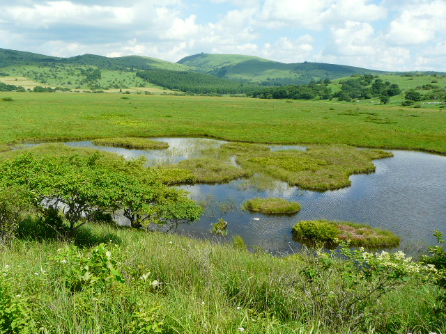 e0145782_18132157.jpg
