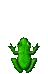 f0018384_16364354.gif