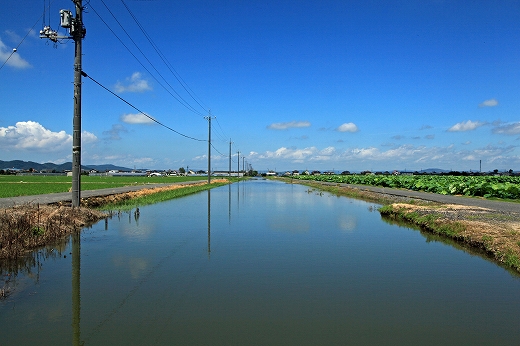 e0190885_19512478.jpg