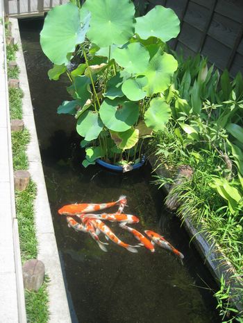 f0201297_1047100.jpg
