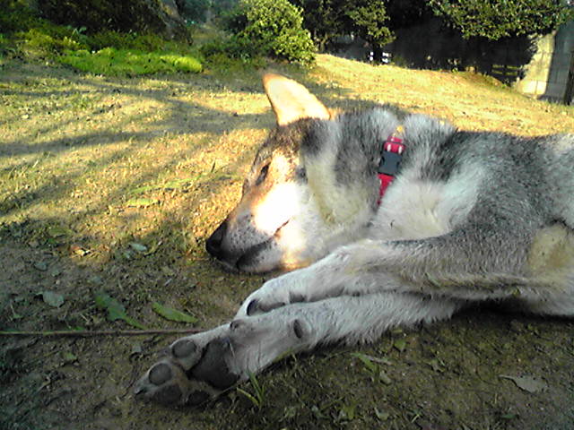 f0079202_19133458.jpg