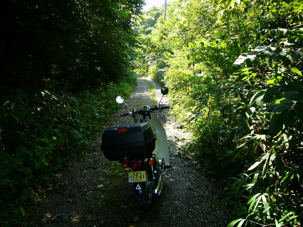 b0050305_22234871.jpg