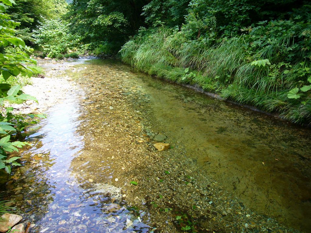 b0050305_22255175.jpg