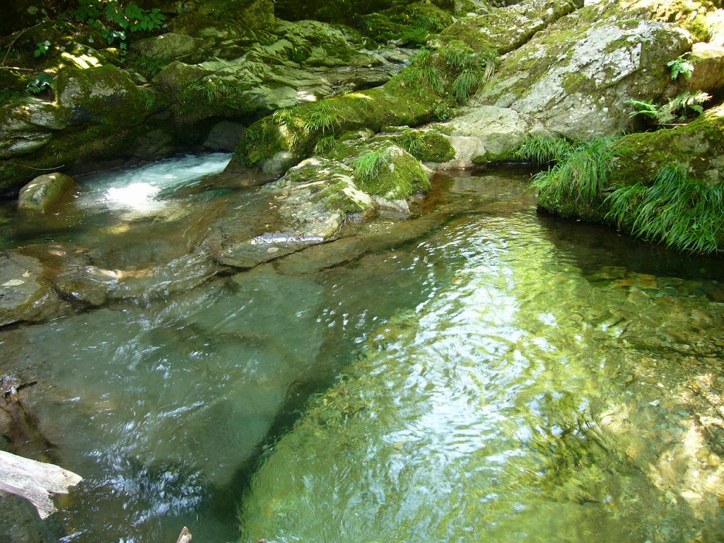 b0050305_22261929.jpg