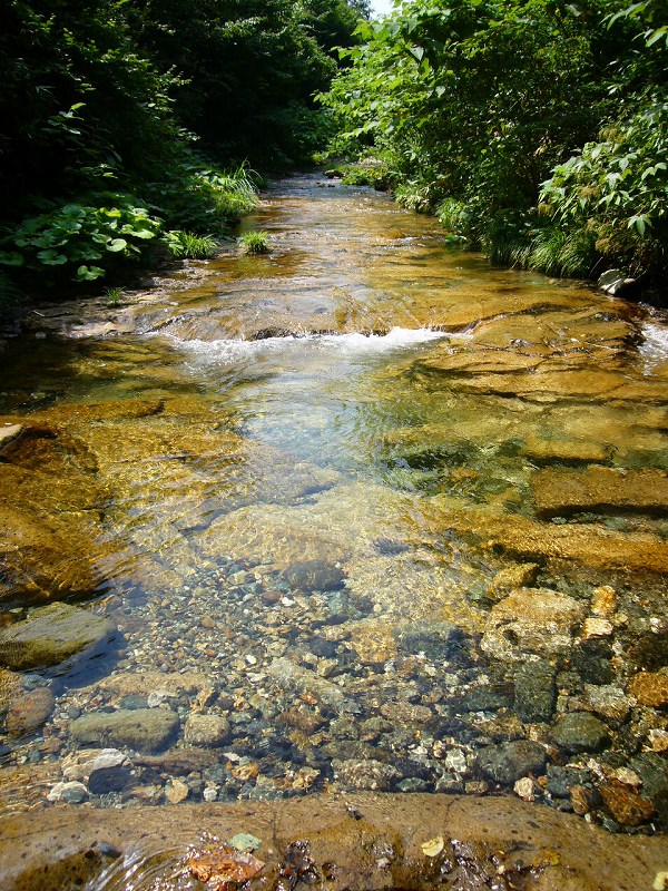 b0050305_22265867.jpg
