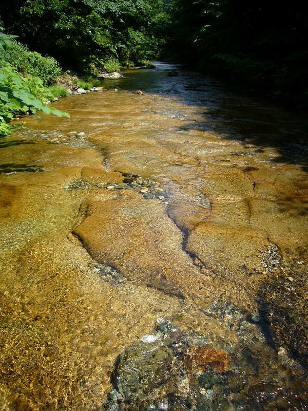 b0050305_2227219.jpg