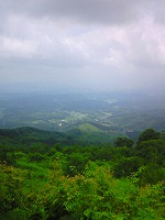 f0100911_2252596.jpg