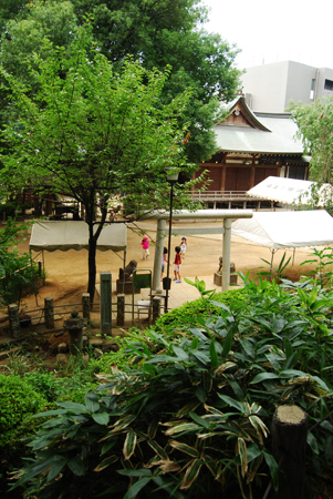 d0113613_1553684.jpg