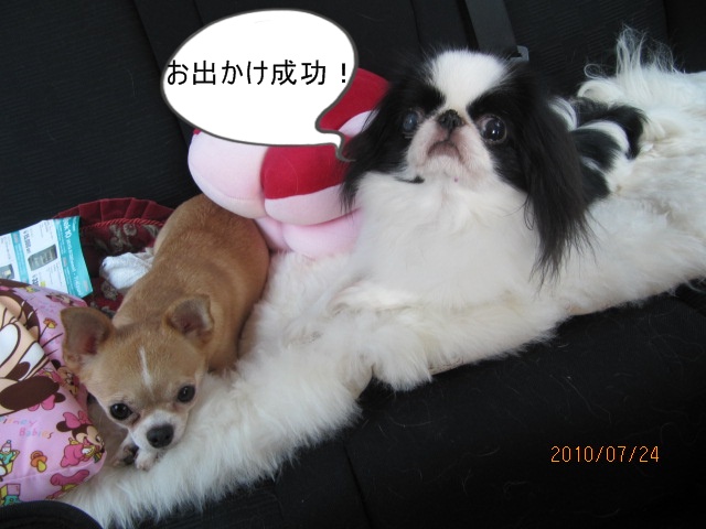 c0200916_1165645.jpg