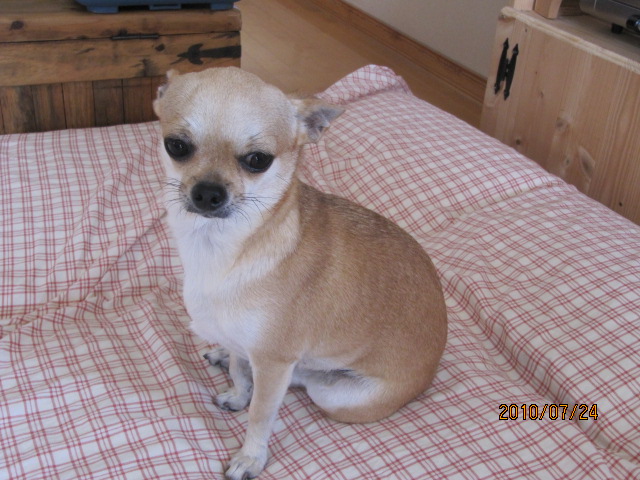 c0200916_1224648.jpg