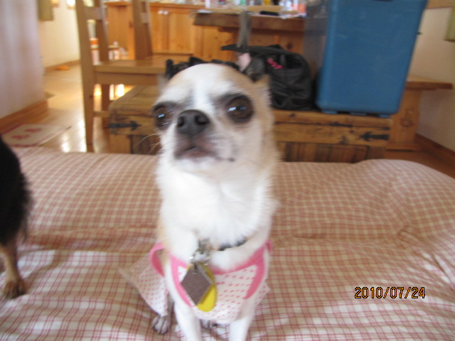 c0200916_1304722.jpg