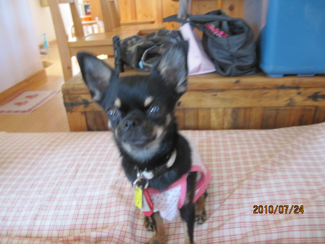 c0200916_1311619.jpg