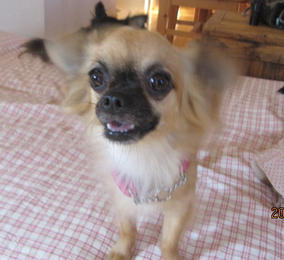 c0200916_1333738.jpg