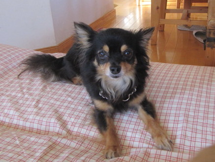 c0200916_13451.jpg
