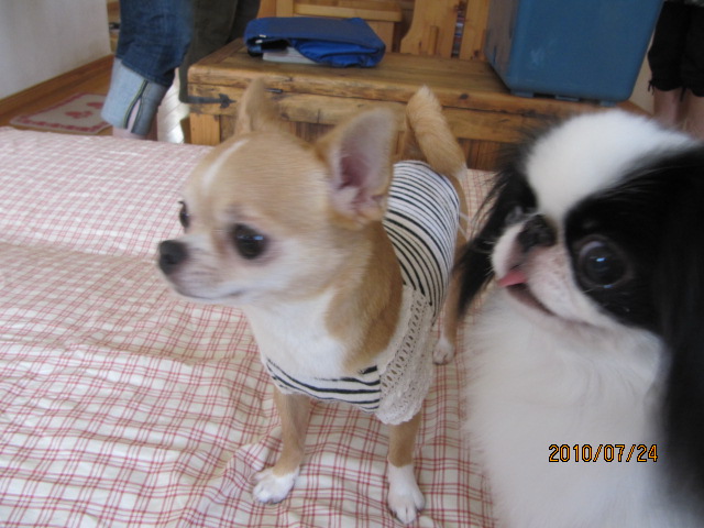 c0200916_136744.jpg