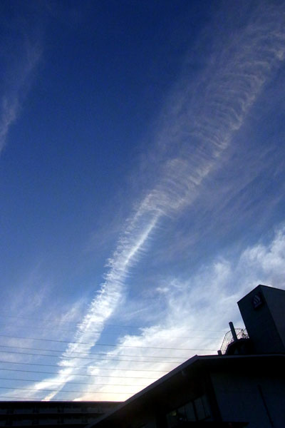 e0083517_018243.jpg