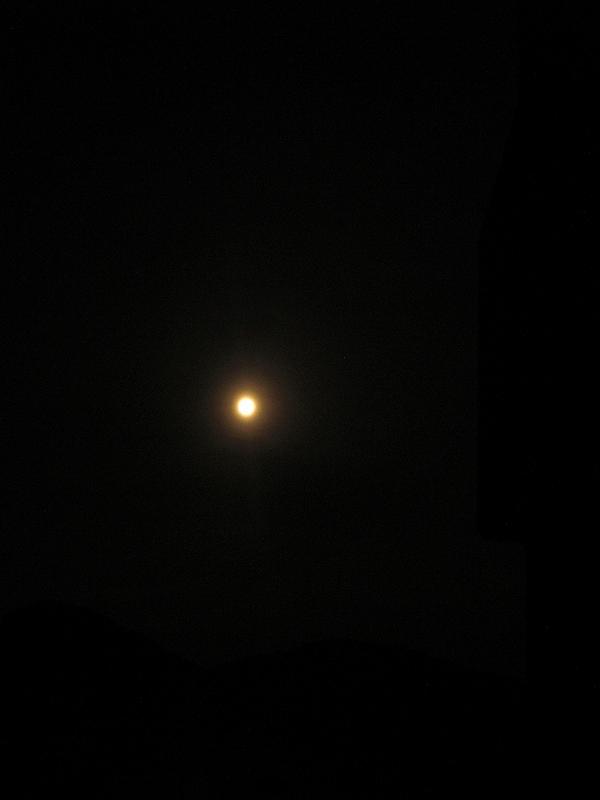 f0208418_1415376.jpg