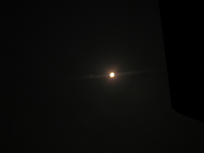 f0208418_14172548.jpg