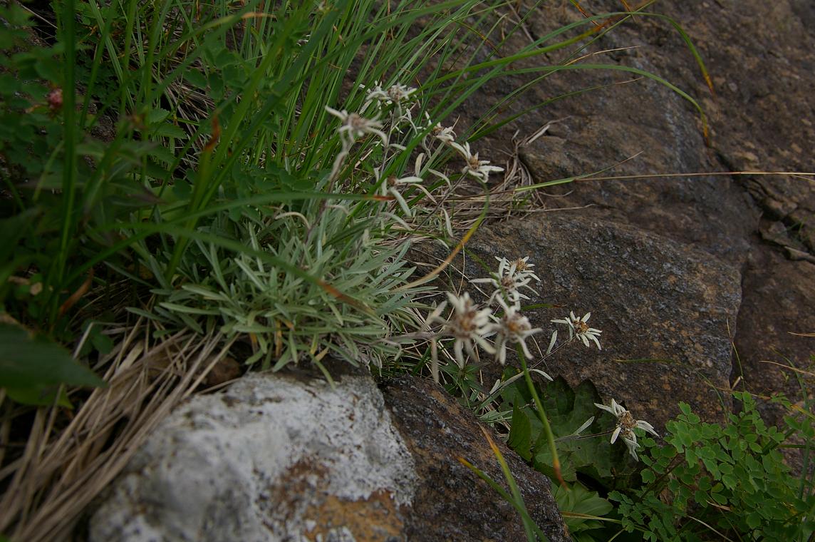 b0062024_1011220.jpg