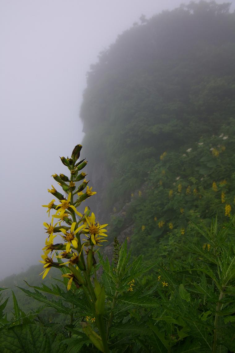 b0062024_1020487.jpg