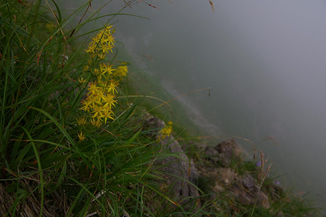 b0062024_10215987.jpg