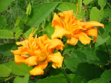 f0235026_14125930.jpg