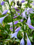 f0235026_14204732.jpg