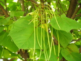 f0235026_14325425.jpg