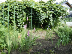 f0235026_1439645.jpg