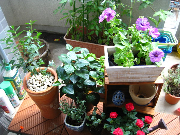 d0064329_17283668.jpg
