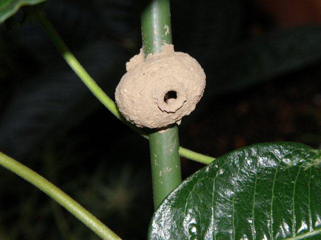 e0033229_23281599.jpg