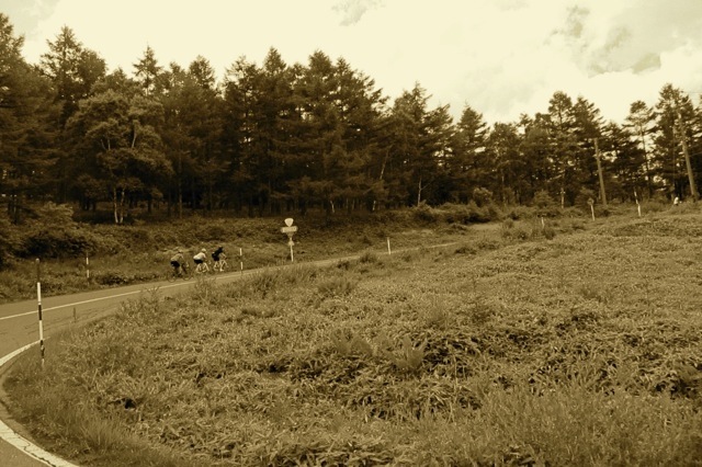 e0165831_0261459.jpg