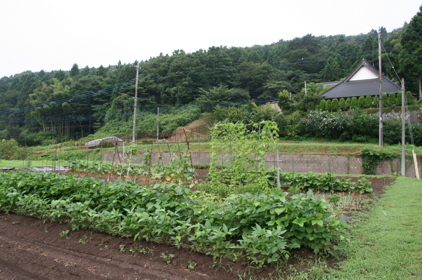 d0140533_1672635.jpg
