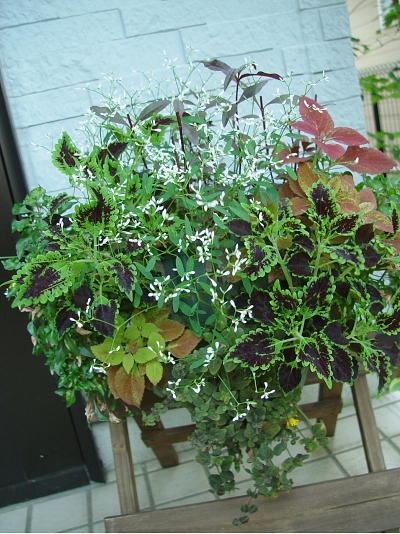 f0060535_911431.jpg