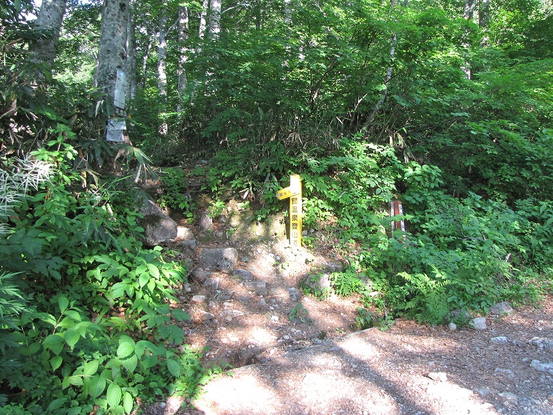 b0097836_11104342.jpg