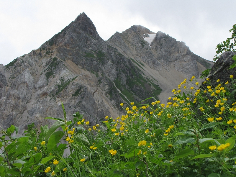 b0097836_11192683.jpg