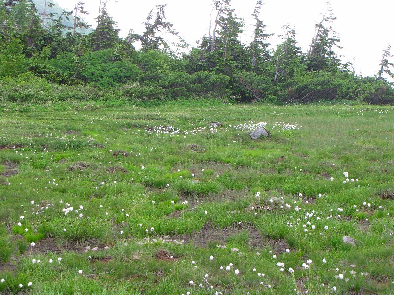 b0097836_1324323.jpg