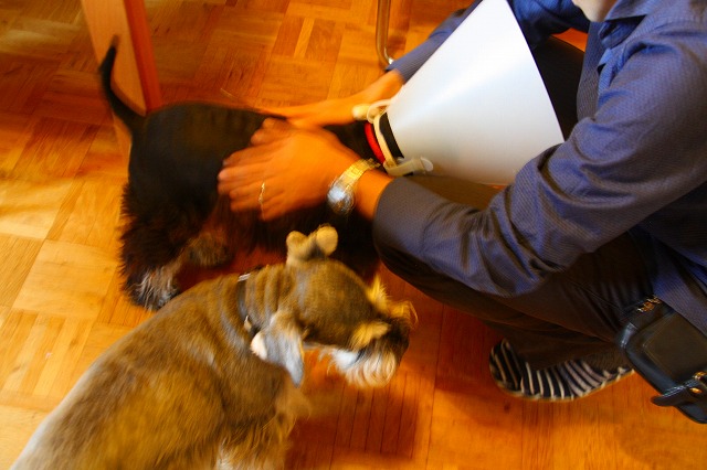 c0153740_2172871.jpg
