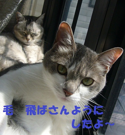 f0002743_17461569.jpg