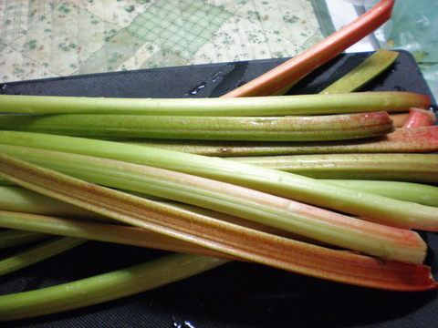 c0153444_8405086.jpg