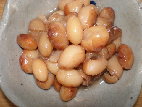 c0153444_8491520.jpg
