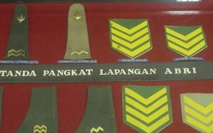 a0087146_925130.jpg