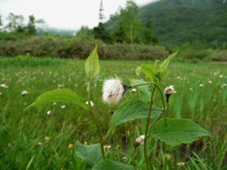 c0057946_2023467.jpg