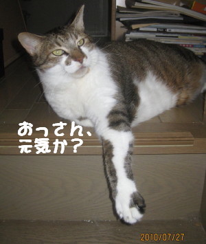 e0121548_18125580.jpg
