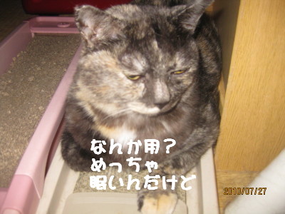 e0121548_18131529.jpg