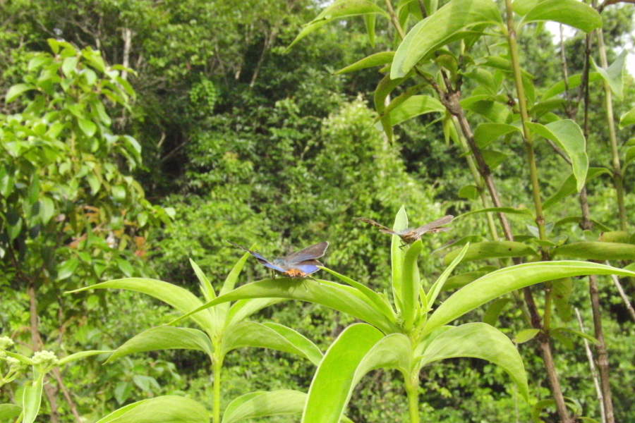 a0094850_14532912.jpg