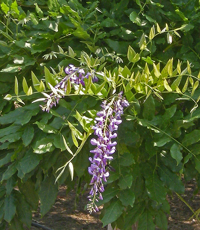 a0001354_2351093.jpg
